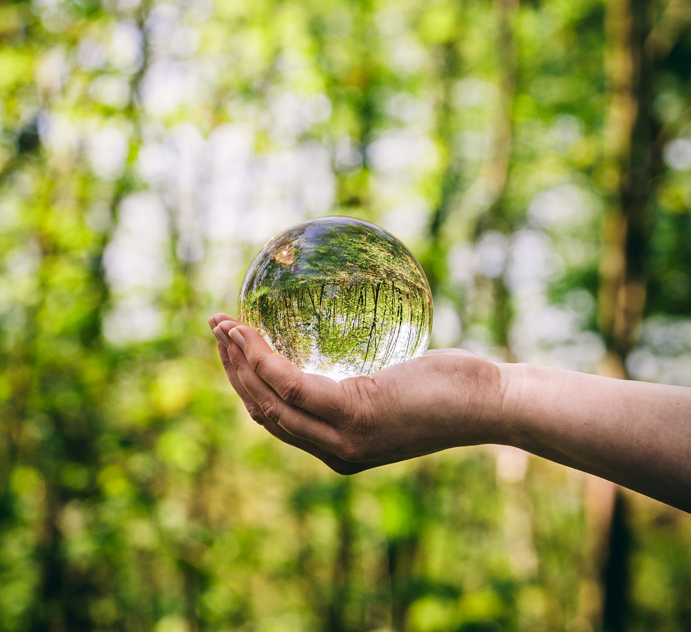 A glass sphere held by a woman, reflecting a forest.